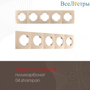 502.04-5.shampan