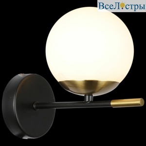 IL0059-1W-79 BK COP