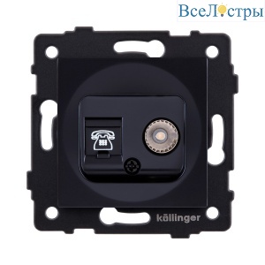 REA-013BK