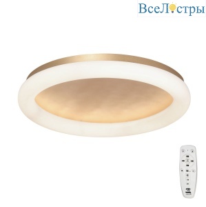 V2539DT-8/1PL