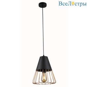 Б0047529