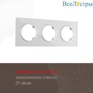 502.01-3.silver