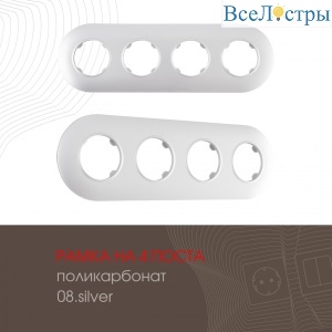 502.08-4.silver