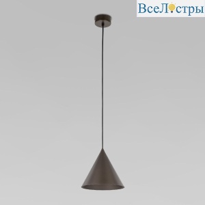 10073 Cono