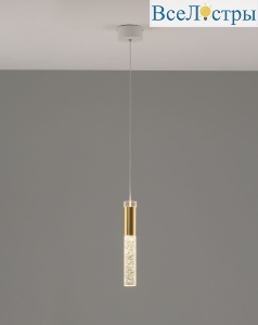 V10896-PL