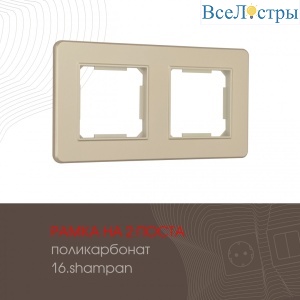 502.16-2.shampan