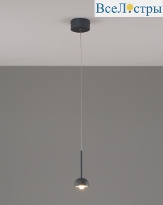 V10893-PL
