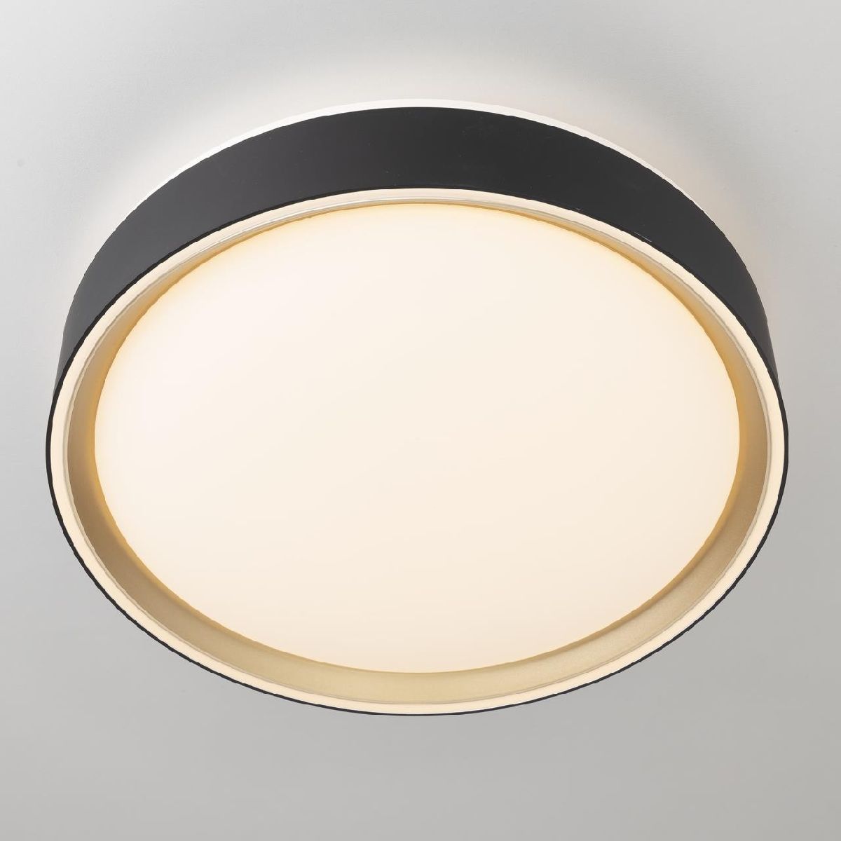 потолочный светильник citilux boss cl751251g