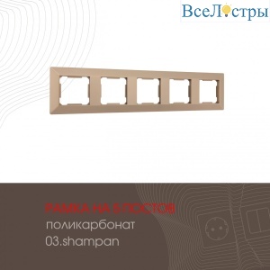 503.03-5.shampan