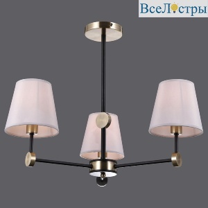 IL0394-3CSQ-24 BK AB CASTOR