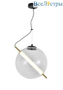 AM497 D300 Transparent color