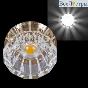 09036-9.0-001T LED COB10W GD