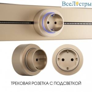 397951TS/ES Gold
