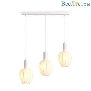 FR5509PL-03W