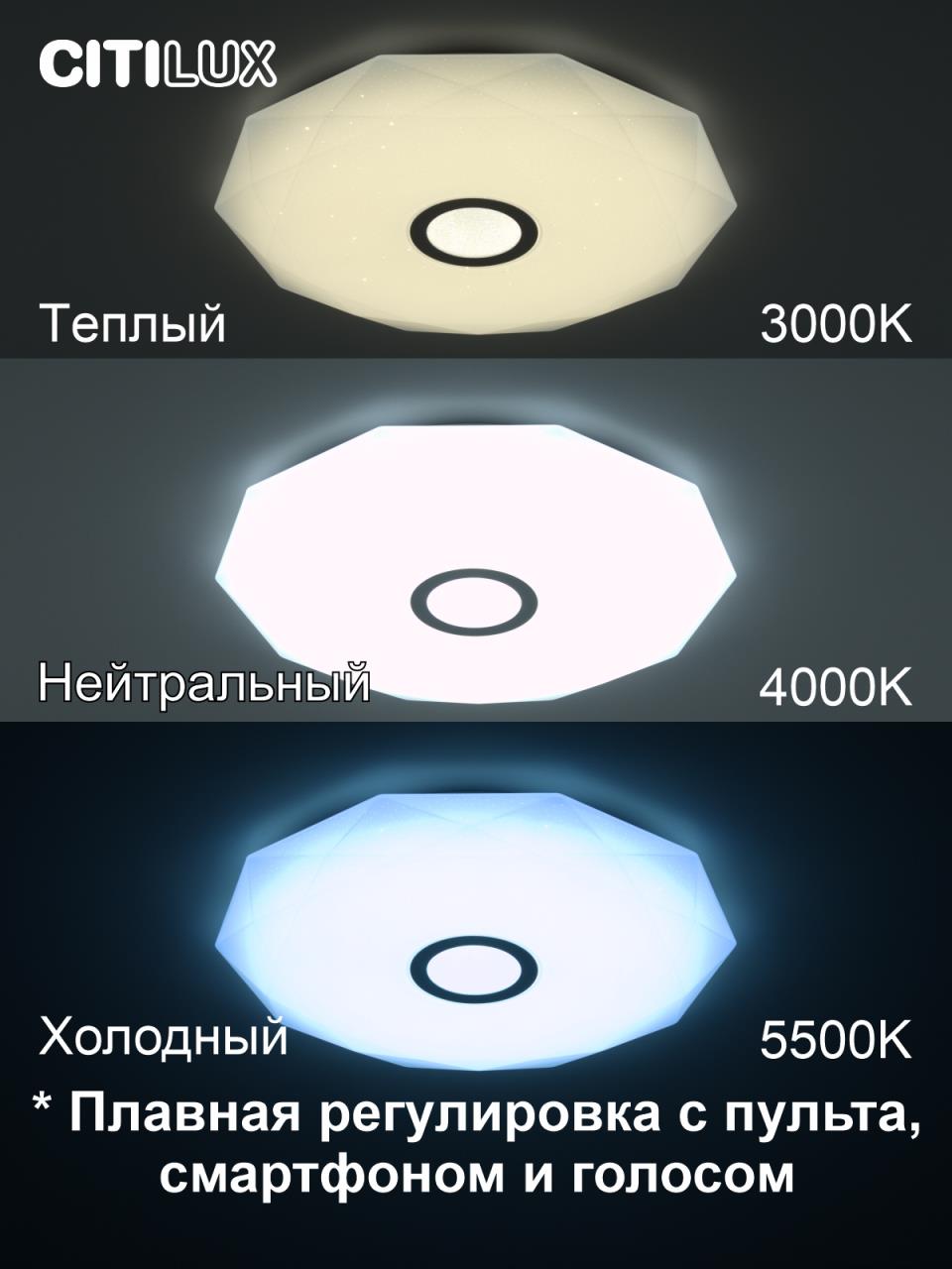 накладной светильник citilux cl713a60g