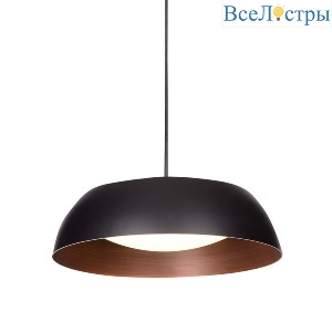 PL019-400B black/copper