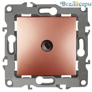 Б0019341