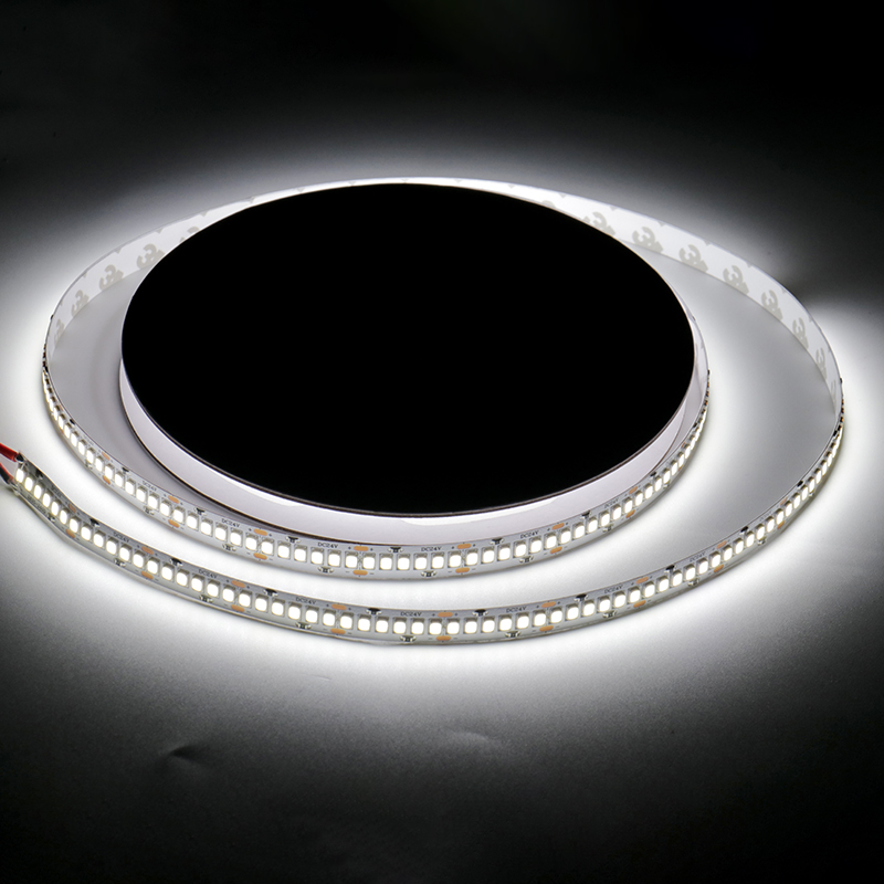 светодиодная лента swg standard swg2240-24-20-w-m 032744