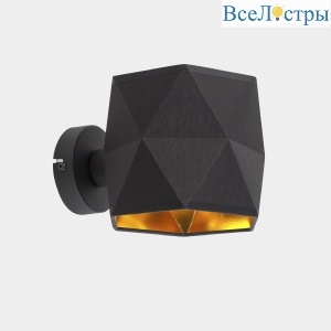 TL1623W-01BG