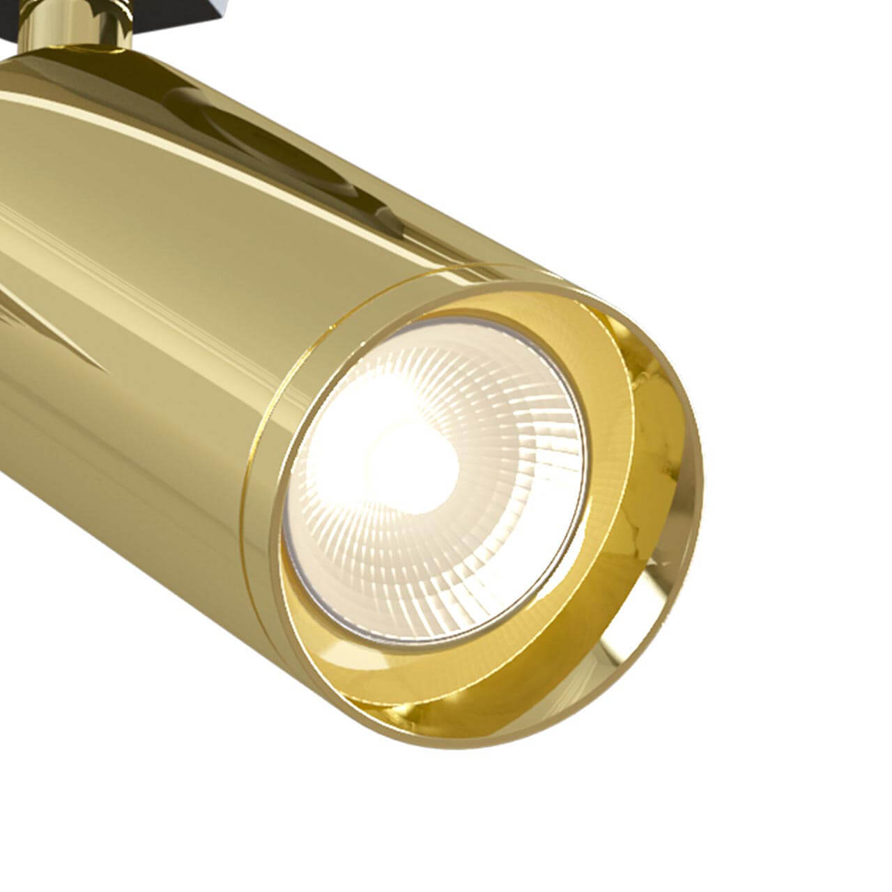трековый светильник maytoni track lamps tr004-1-gu10-g