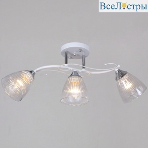 55560-0.3-03 WH+CR