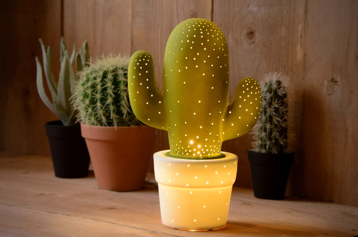 Cactus Lucide