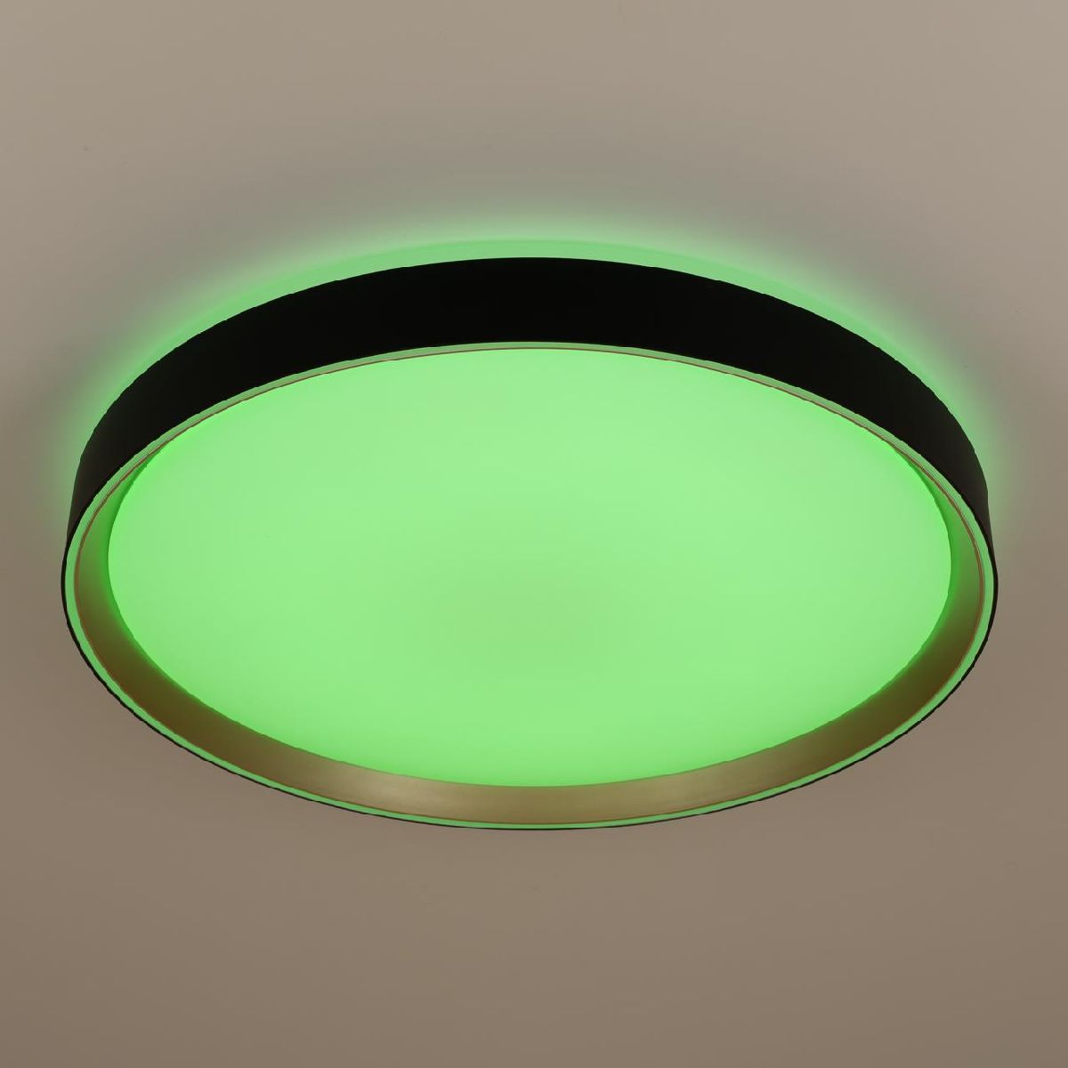 потолочный светильник citilux boss cl751451g