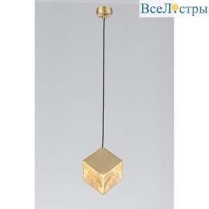 101-1 BR AM