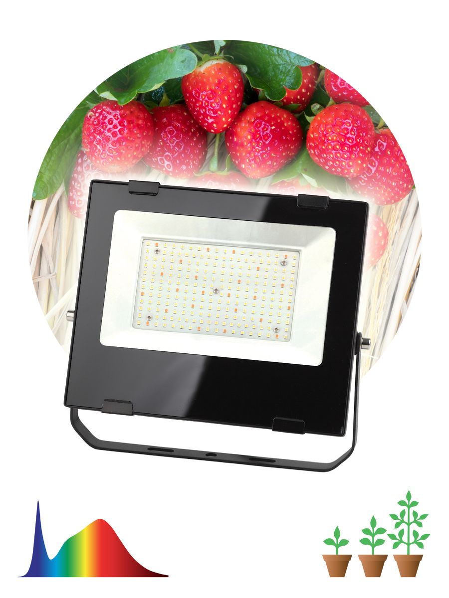 фитопрожектор для растений эра fito-100w-ra90-led б0047876