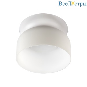10466 Milky white