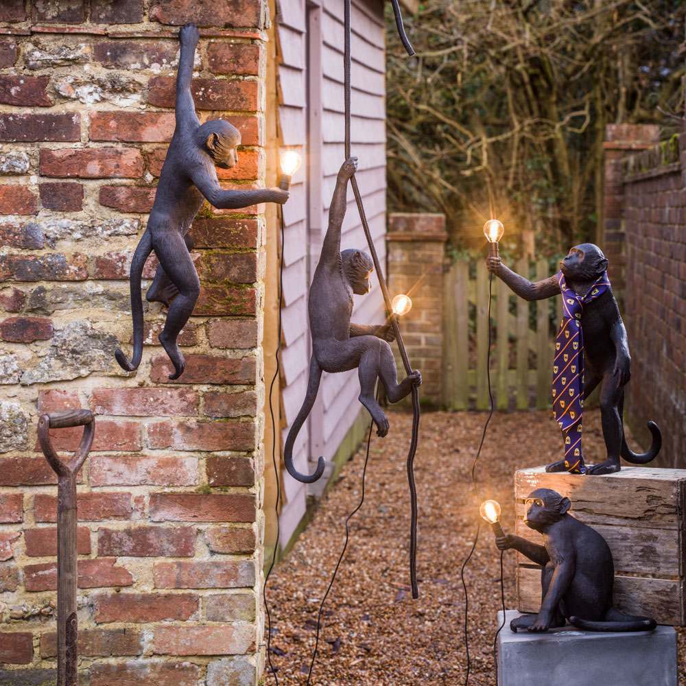 подвесной светильник the monkey lamp swing black seletti
