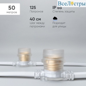 BL50m/125L-8-P