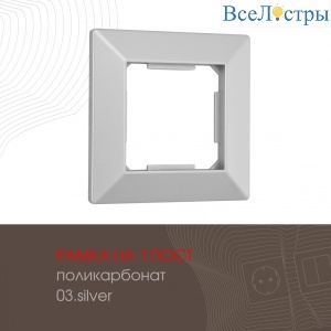 503.03-1.silver