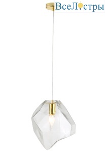 NUESTRO SP1 GOLD/TRANSPARENT
