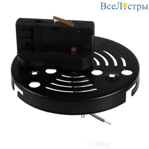 594067