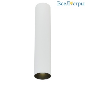 2055-LED10CLW