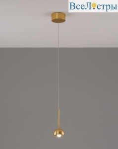 V10894-PL