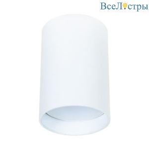 A1517PL-1WH