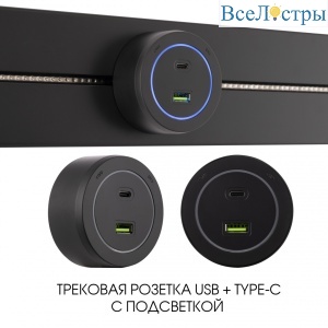 399731TS/USB-Type-C Black