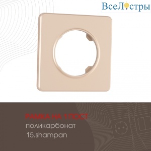 502.15-1.shampan