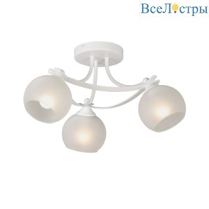 V2564-0/3PL