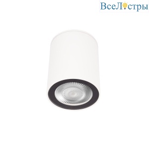 10344 White