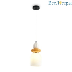 FR5595PL-01B3
