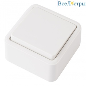 310.30-1.white