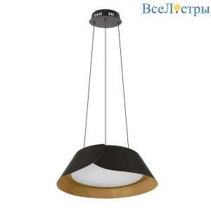 10370P Black