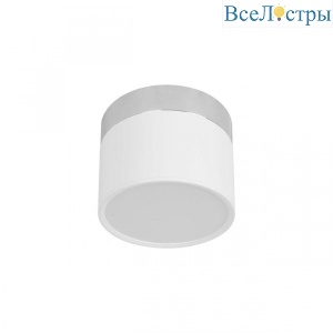 10179/7 White