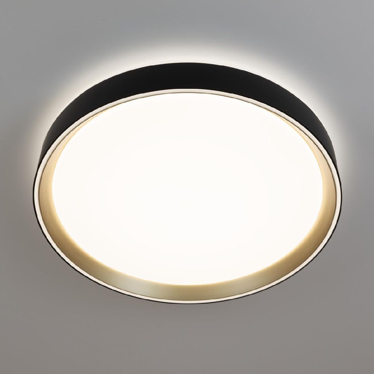 потолочный светильник citilux boss cl751351g