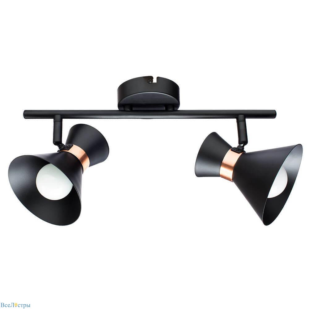 спот arte lamp baltimore a1406ap-2bk