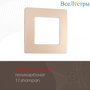 517.17-1.shampan