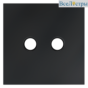 VLS001607